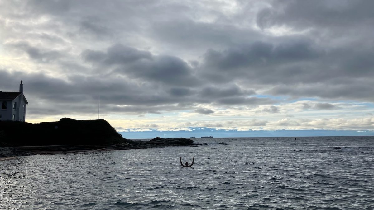 coreman plunging in Ross Bay