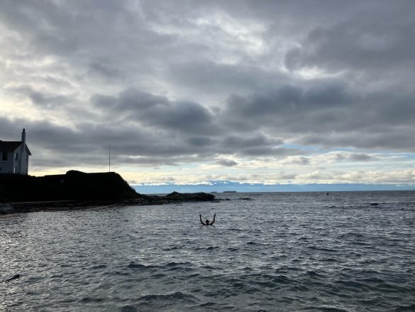 coreman plunging in Ross Bay