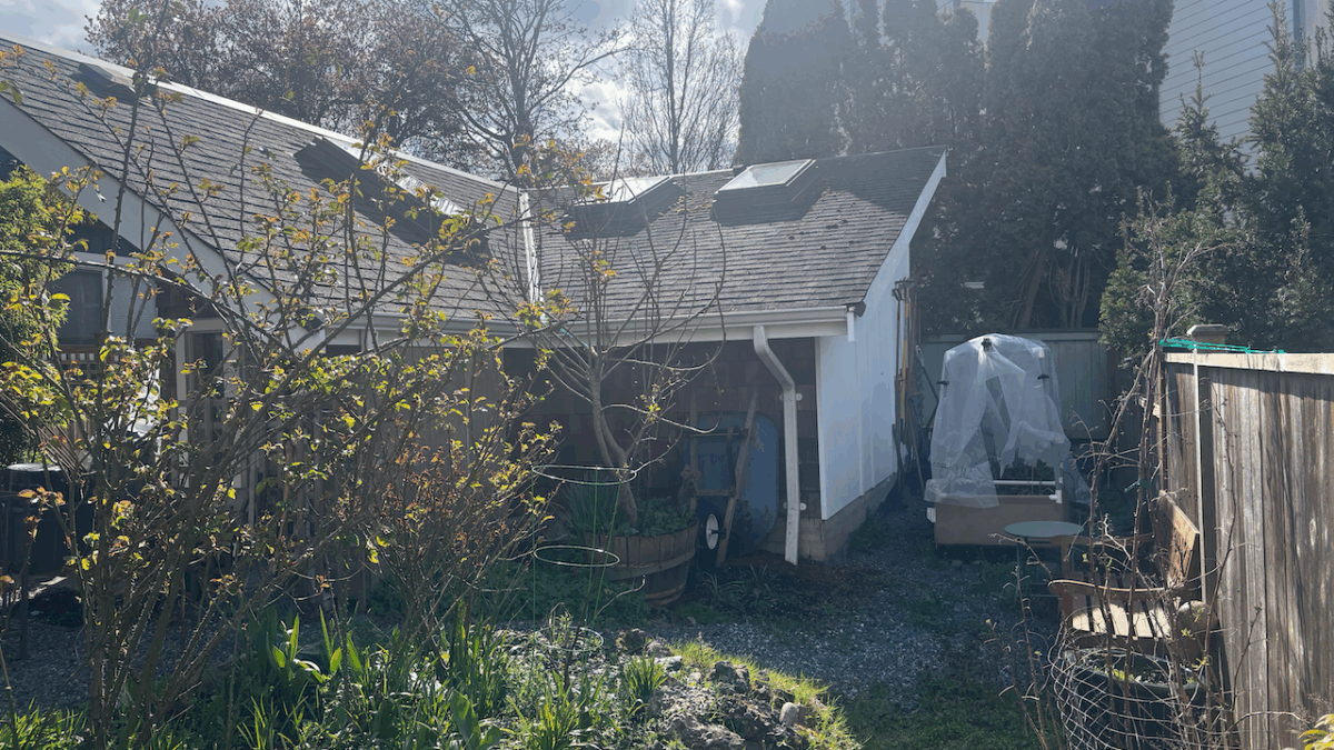 planning for backyard shed