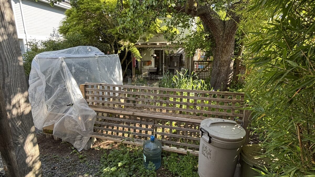 It’s time to weed the garden