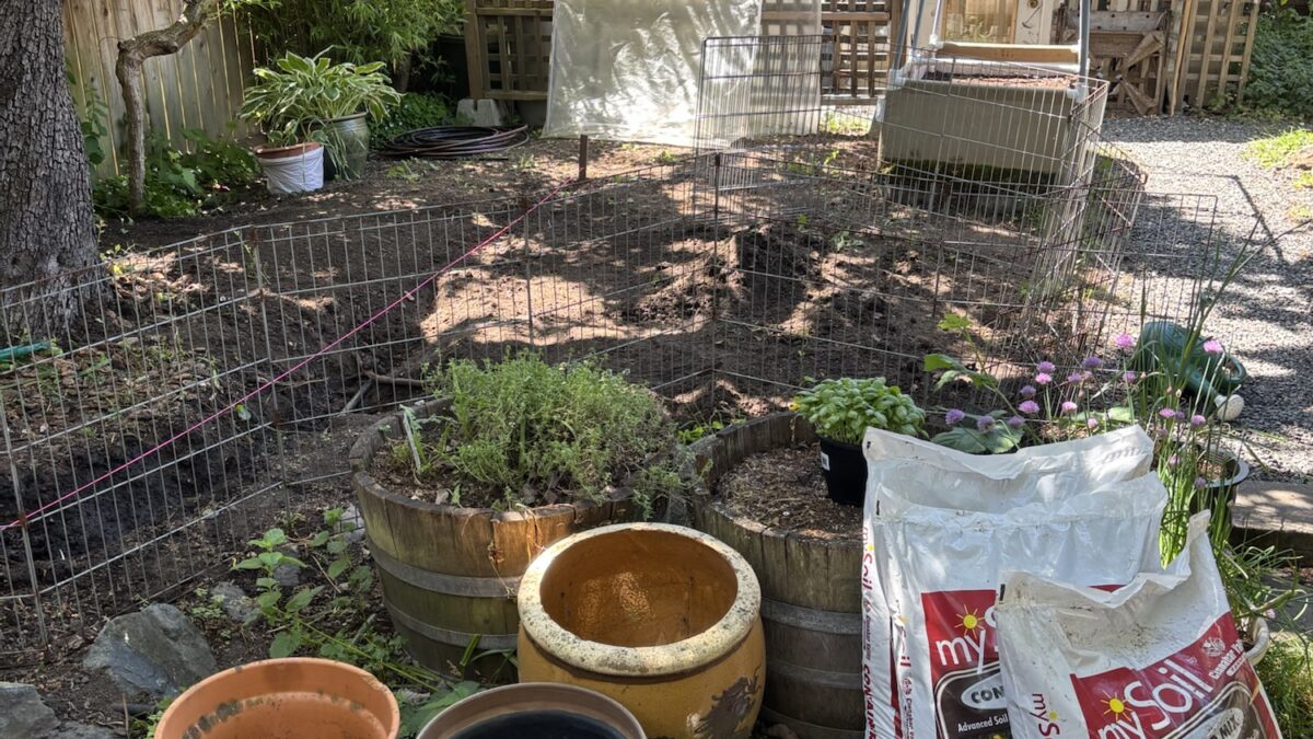 Gardening projects underway
