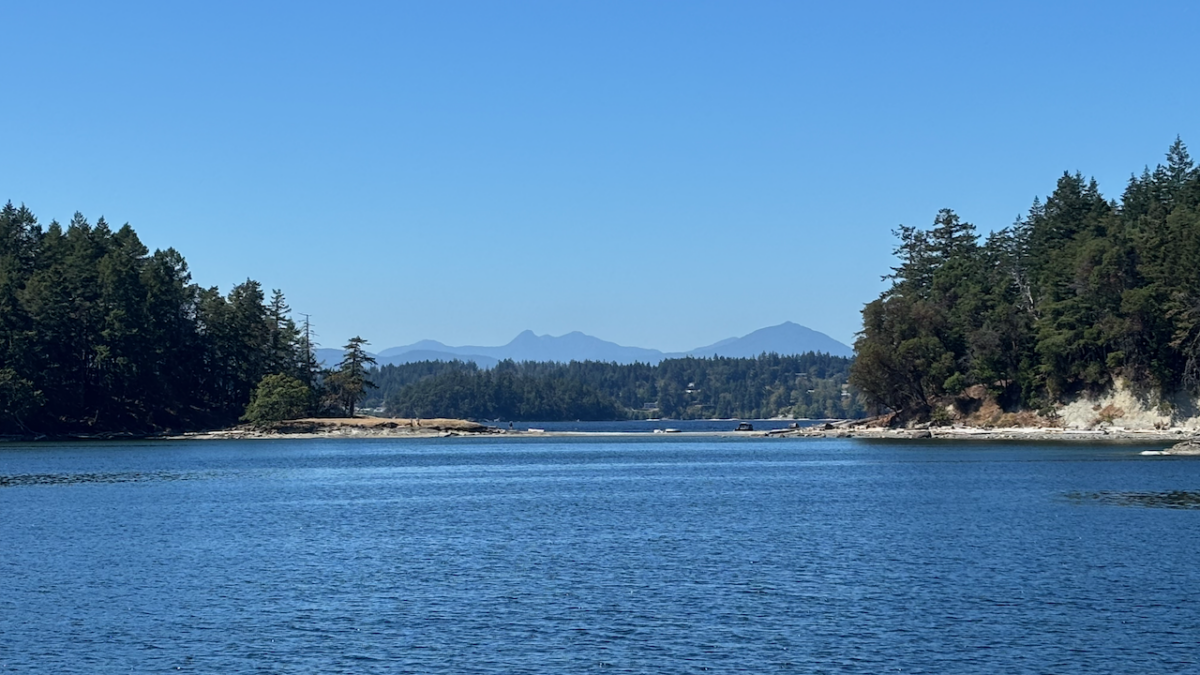 Salish Sea orca sighting – Day 5